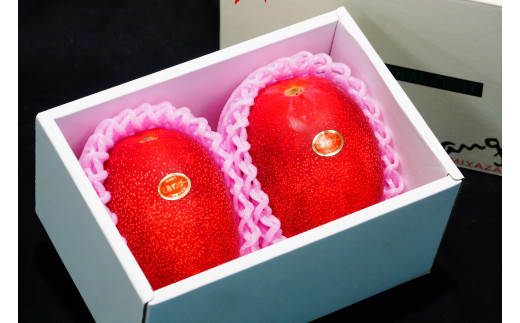 KU020＜先行予約・数量限定＞完熟マンゴー・赤秀(1kg・2～3玉) 宮崎県産の完熟マンゴー 【串間市大束農業協同組合】