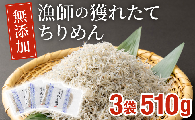 KU093 漁師のとれたてちりめん 計510g(170g×3袋)【株式会社猪塚水産】【KU093】