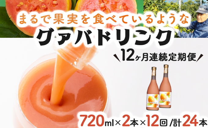 KU111 【定期便・全12回】まるで果実を食べているような！グァバドリンク２本セット(各720ml)×12回【宮崎果汁】