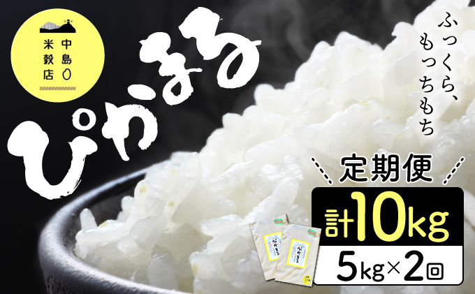 KU156_nR6 【定期便・全2回】令和6年産「超早場米」ぴかまる 計10kg（5kg×2回）【中島米穀店】