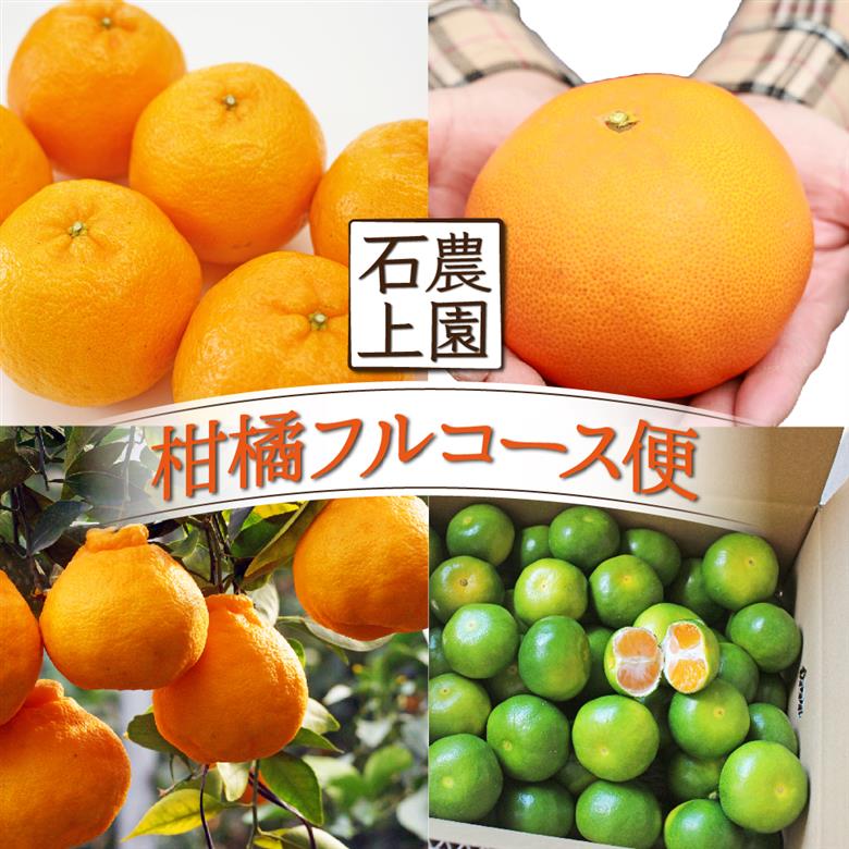 KU167 【先行予約】【定期便・全4回】石上農園から自慢の柑橘フルコース便　【石上農園】