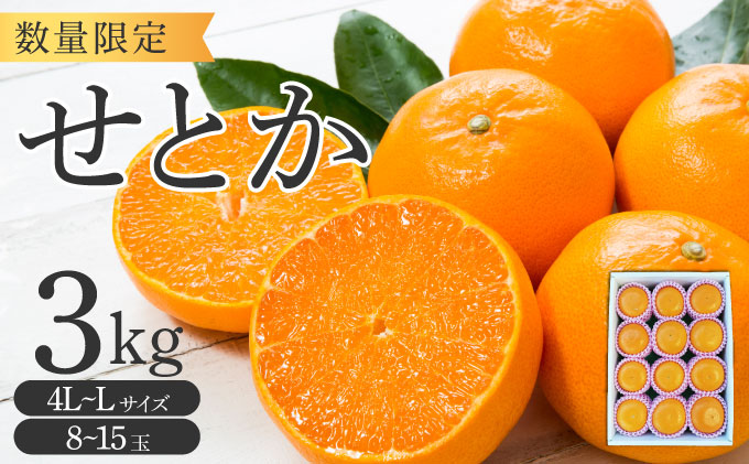 KU250 せとか3kg（8～15玉・化粧箱付き）