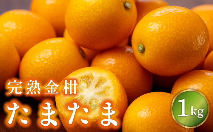 KU431-1 【先行予約】串間市産 完熟きんかん「たまたま」1kg