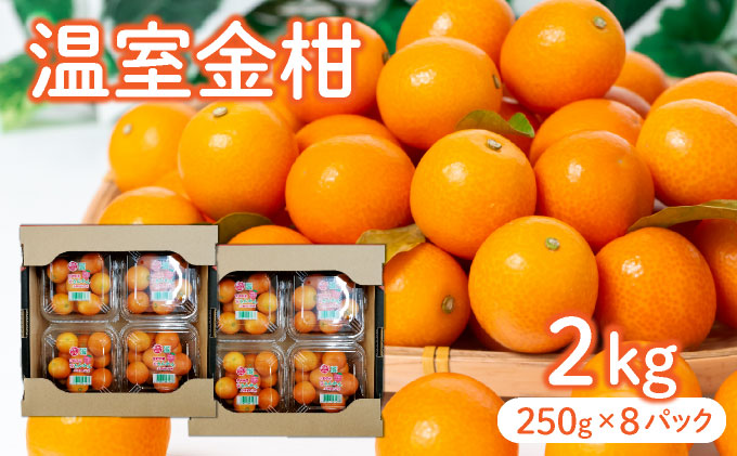 【先行予約】温室金柑 2・(250g×8パック)