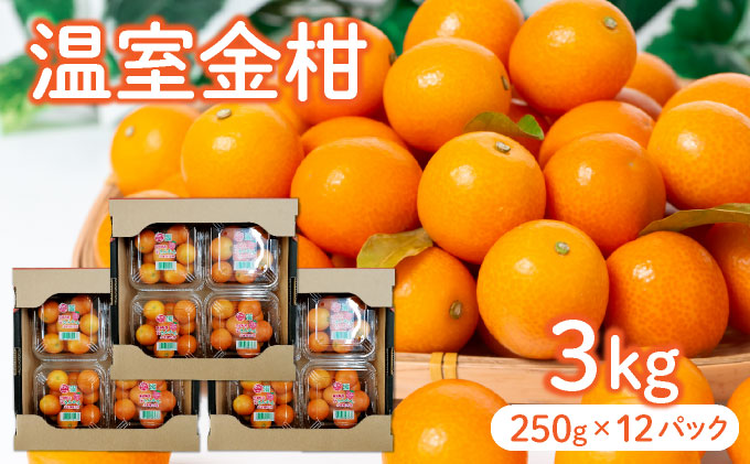 【先行予約】温室金柑 3㎏(250g×12パック)