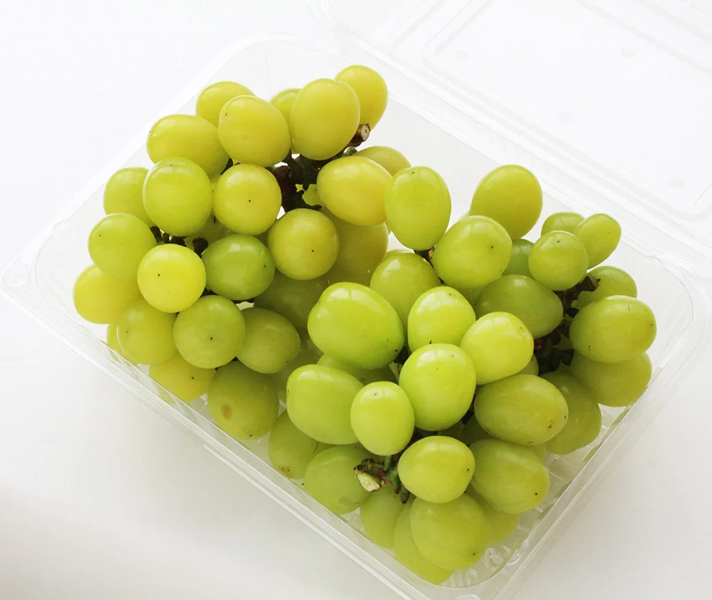 <訳あり>パック入りシャインマスカット 約1kg（2房）【KAZUSAN農園】【KZBSP1】