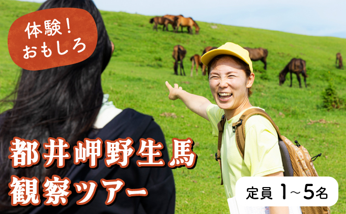 OP-TMG 体験！おもしろ『都井岬野生馬』観察ガイドツアー