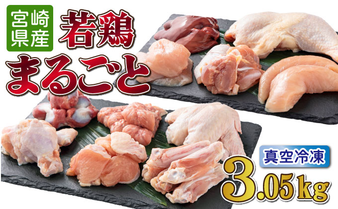 TRT06 若鶏まるごと 3.05kgセット