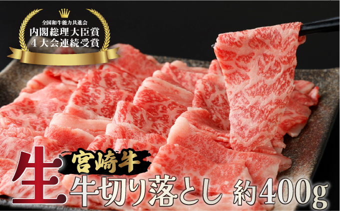 Y-A7 《冷蔵・真空包装》A4等級以上！とろける旨み！宮崎牛切り落とし（300g×2P・計600g）【スーパーほりぐち】