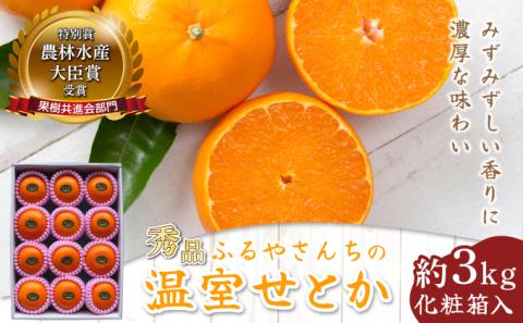 AD-AB2≪期間限定・先行予約≫ 数量限定!農林水産大臣賞受賞農園!ふるやさんちの温室せとか[秀品](約3kg・8〜12玉入)化粧箱入[ふるやさんちのみかん園]