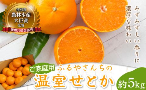 AD-AB1≪期間限定・先行予約≫ 数量限定!訳あり 農林水産大臣賞受賞農園!ふるやさんちの温室せとか(約5kg・20〜24玉※サイズ混合)[ふるやさんちのみかん園]