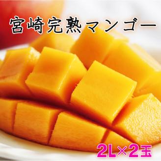 KU019[数量限定]宮崎完熟マンゴー(2L×2玉) 宮崎県産の完熟マンゴー