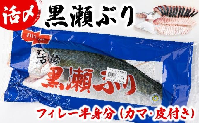 KRBF15-2511 [2025年11月配送]活じめ!黒瀬ぶりの生鮮ブリフィレー 1.5kg前後
