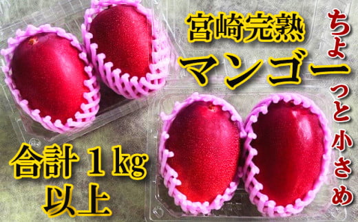 YMPML4[先行予約・数量限定]宮崎完熟マンゴー(M・L×2玉入パック) [やました農園]