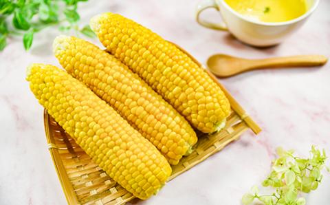 朝どれスイートコーン ゴールドラッシュ5kg（14本～16本） 農産物直売所『新鮮市場いろどり』≪先行予約≫＜1-209＞