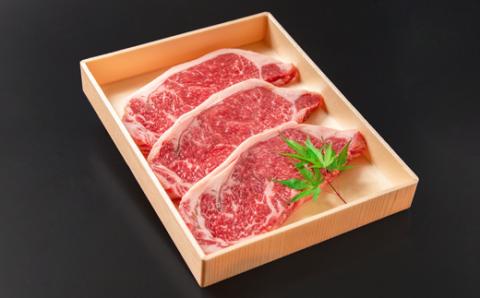 【3月17日終了】国産この華牛 サーロインミニッツステーキ3枚（約400ｇ）＜1.2-63＞牛肉 肉 ステーキ 焼肉 国産 宮崎県西都市