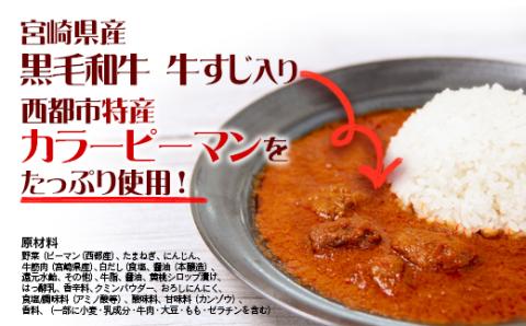『南国赤いカレー』180ｇ×5箱　黒毛和牛牛すじ肉・特産カラーピーマン使用〈1-262〉