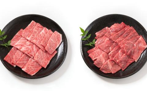 【期間限定・生産者応援】宮崎牛 肩ロース＆赤身ミックス食べ比べ焼肉セット700ｇ 内閣総理大臣賞４連続受賞 ミヤチク 4等級以上〈1.5-224〉牛肉 西都市