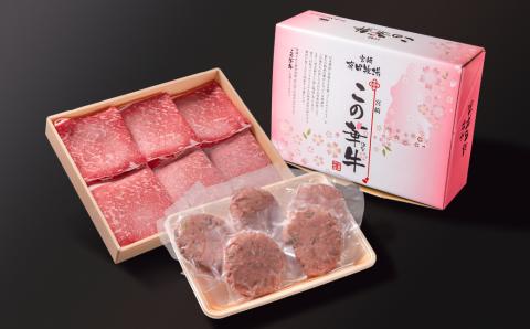 【3月17日終了】国産牛切り落とし500ｇ＆牛100％ハンバーグ100ｇ×5個　二刀流セット　この華牛　合計1ｋｇ＜1.1-27＞