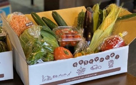 【先行予約・定期便】西都市旬の特産詰め合わせセット　マンゴー・野菜・スイートコーンなど＜6-18＞