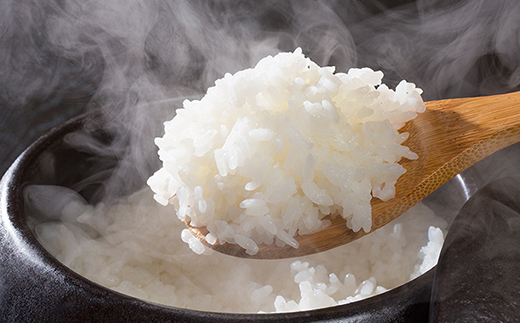 【3ヶ月定期便】お味噌屋さんのお米『おてんとそだち』10ｋｇ×3ヶ月【先行予約】＜4.5-8＞新米 西都市 米30ｋｇ