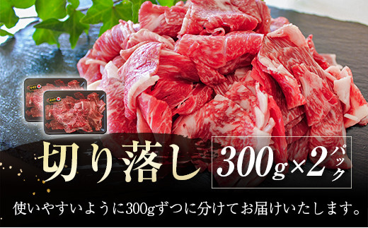 【ANA限定】宮崎牛切落とし600ｇ（300ｇ×2パック） 内閣総理大臣賞４連続受賞 A4等級以上＜1.2-52＞牛肉 黒毛和牛 ブランド牛 日本一 宮崎県西都市