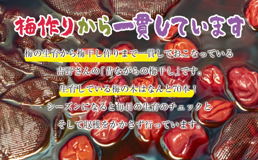 『南高梅』昔ながらの酸っぱい梅干し 180g×5パック 合計900g 小分け＜1-110＞
