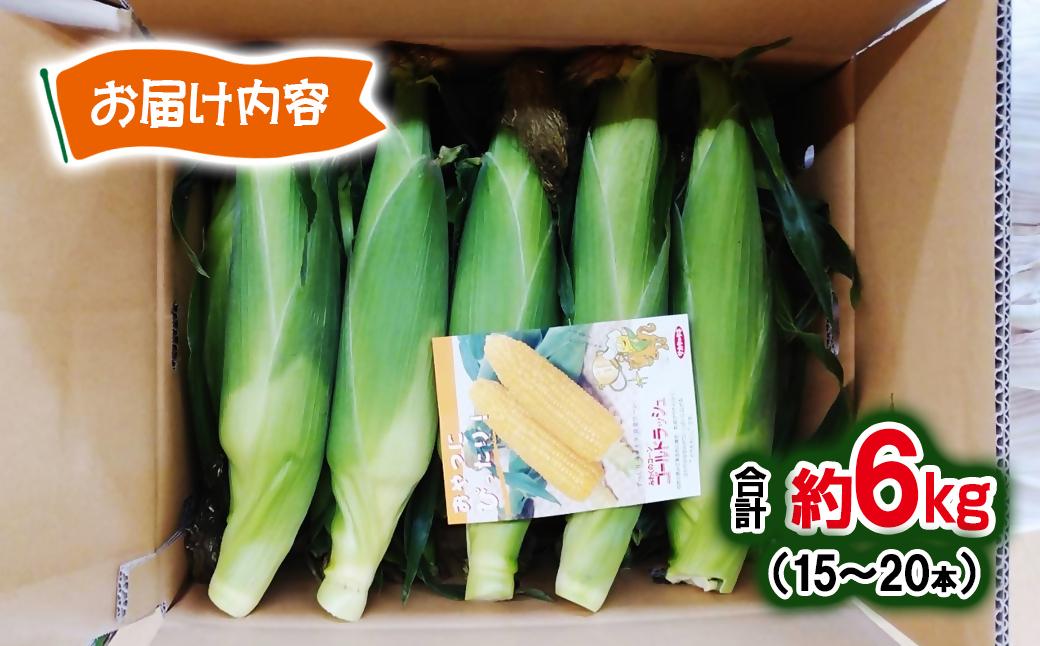 【さいとう農園】朝どれ！ スイートコーン『ゴールドラッシュ』約6kg 15本～20本【先行予約】＜1.1-48＞とうもろこし トウモロコシ★