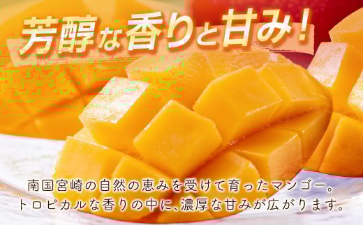 【先行予約】西都市産完熟マンゴー2Ｌ×2玉 W＜1.2-39＞2026年発送 果物 くだもの フルーツ 宮崎県 西都市