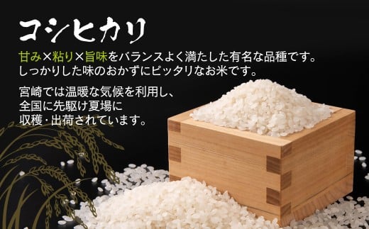【3ケ月定期便】 令和7年産 新米こしひかり 『この華米』10kg×3 合計30kg＜9-12＞精米 白米 コシヒカリ コシヒカリ：3ヶ月定期便10kg×3