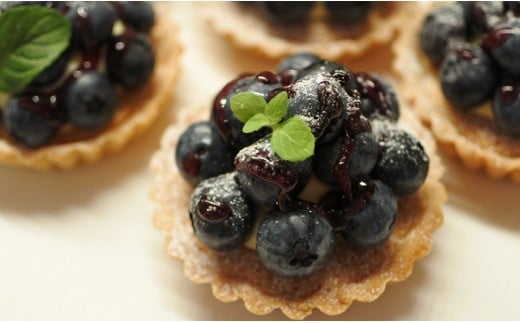 『古代の風』無農薬ブルーベリー900ｇ 冷凍 小分け300g×3＜1-57＞★