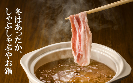 【ANA限定】宮崎県産 豚ローススライス２kg　小分け400ｇ×５パック＜1.3-19＞★ 豚肉 肉 ローススライス 小分け 大容量 宮崎県西都市 豚しゃぶ すき焼き