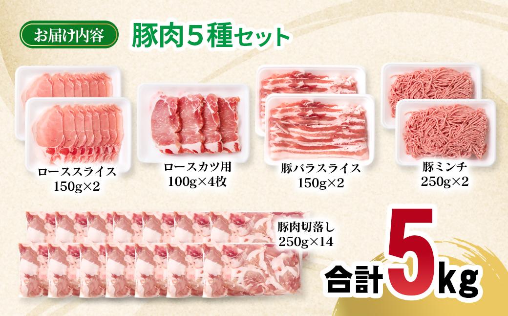 宮崎県産豚肉 5種 合計5kg セット 小分け24パック＜2-109＞