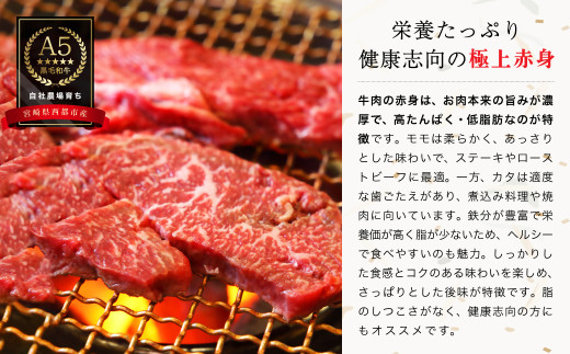 【最高品質A5等級 西都和牛】黒毛和牛赤身焼肉600ｇ（200ｇ×3）宮崎県産＜1.4-6＞【カミチクファーム】牛肉 肉 ビーフ 焼肉 宮崎県西都市