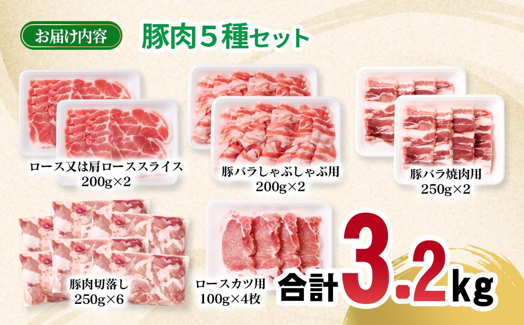 宮崎県産豚肉 5種 合計3.2kgセット 小分け 13パック 切り落とし ロース バラ＜1.6-42＞