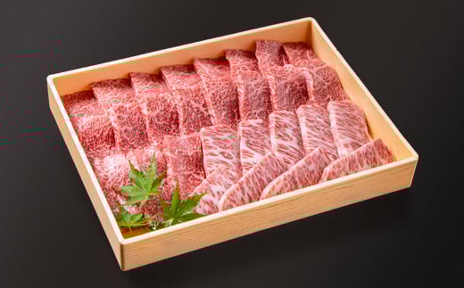 黒毛和牛 希少部位を含む特選焼肉500g 部位おまかせ 有田牧場＜1.6-35＞ 通常お届け