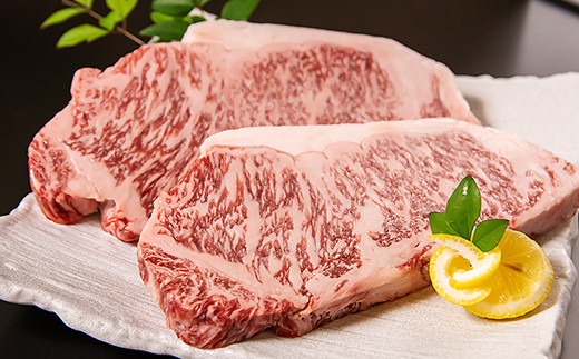 黒毛和牛 「宮崎和牛 齋藤牛」サーロインステーキ 250g×2枚 合計500g 国産牛肉＜4.3-3＞