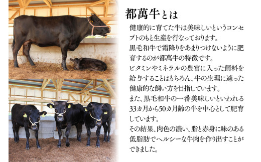 黒毛和牛『都萬牛』ロースステーキ 360ｇ（約180ｇ×2枚）<2-26>牛肉 ステーキ 肉 国産牛 黒毛和牛 宮崎県西都市 30日以内の発送となります。