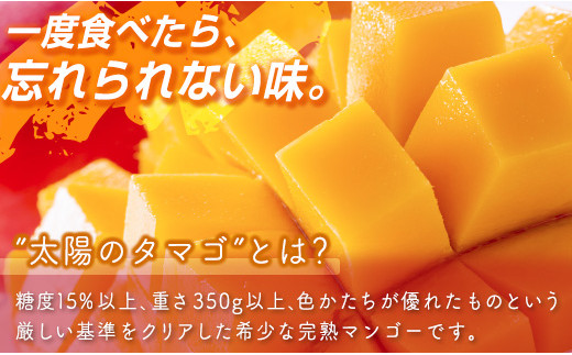 【先行予約】最高級完熟マンゴー 太陽のタマゴ 2Ｌ×2玉 西都市特産＜2-76＞2026年発送 果物 くだもの フルーツ 宮崎県西都市