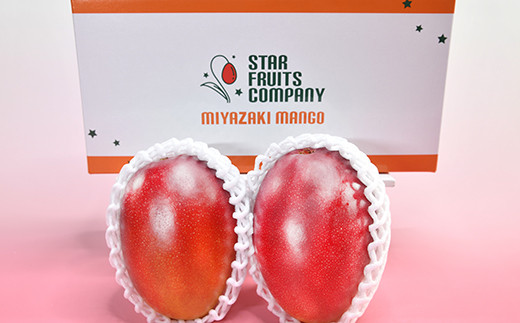 【ANA限定】西都市産完熟マンゴー3Ｌ×2玉（約900ｇ）スターフルーツカンパニー【先行予約】＜1.8-26＞2026年発送分 果物 くだもの フルーツ 宮崎県西都市