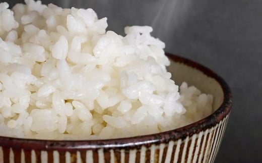 【令和7年産新米・先行予約】こしひかり 5kg ※8月上旬以降順次発送予定 精米済み ＜1.3-20＞ 新米 こしひかり お米 精米 5キロ 米 ライス 宮崎県 西都市 こしひかり：5kg【寄附額13,000円】