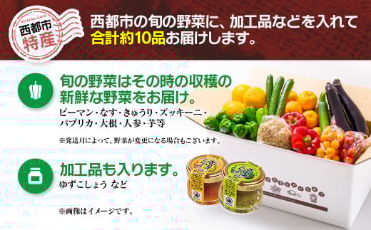 【3回定期便】西都市旬の特産詰め合わせセット 1月発送開始 マンゴー・野菜・スイートコーンなど＜4-4＞定期便 野菜 果物 フルーツ 宮崎県西都市