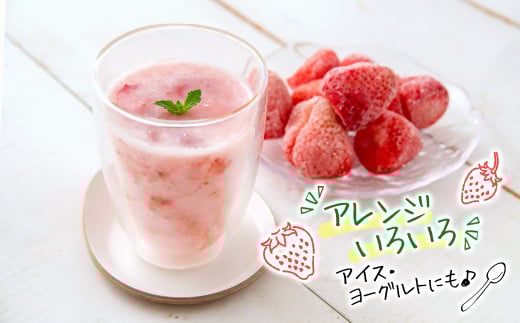 【訳あり・個数限定】苺大野屋 冷凍 完熟苺やよいひめ800g×2 宮崎県西都市産＜1.2-67＞