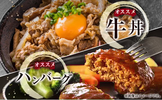 【宮崎牛】こま肉＆ミンチセット１ｋｇ 内閣総理大臣賞４連続受賞 Ａ４等級以上＜1.4-18＞W 宮崎県 西都市 牛肉