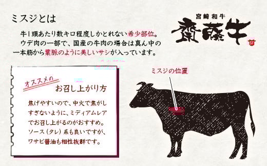 希少部位 黒毛和牛「宮崎和牛 齋藤牛」ミスジステーキ100g×5枚 国産牛肉＜2.5-36＞ 通常お届け