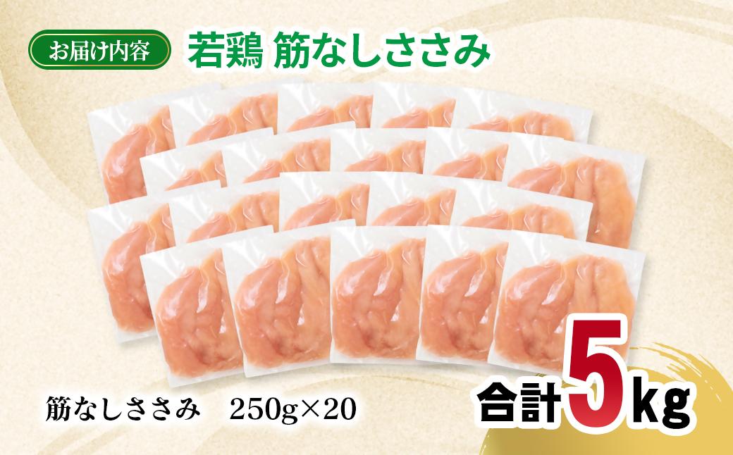 宮崎県産若鶏 筋なしささみ 5kg 小分け250ｇ×20パック＜2.3-4＞