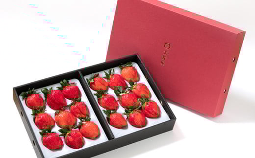 【先行予約】大粒厳選いちご やよいひめ 900g（450g×２パック）苺大野屋 宮崎県西都市＜3-51＞苺 いちご 果物 くだもの フルーツ 贈答用 ギフト 大粒900ｇ(450ｇ×2パック)【寄附額30,000円】