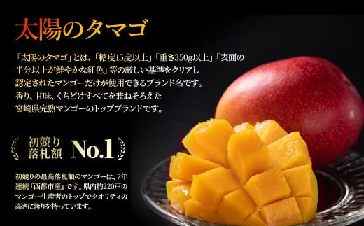 【先行予約】最高級完熟マンゴー『太陽のタマゴ』3Ｌ×2玉　西都市産＜2.8-2＞2026年発送 果物 くだもの フルーツ 宮崎県西都市
