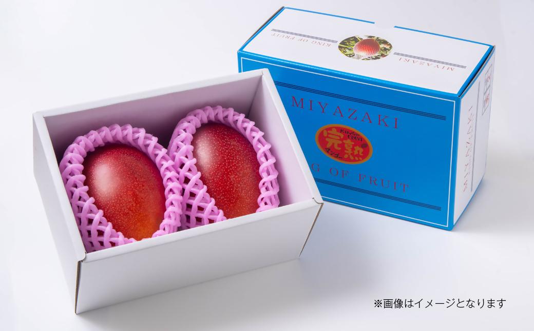 5月発送【先行予約】最高級ブランド『太陽のタマゴ』3L×2個【糖度15度以上】宮崎県西都市産完熟マンゴー＜4.2-6＞宮崎マンゴー 果物 フルーツ 甘い