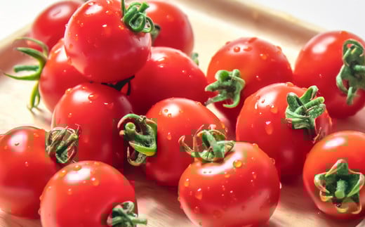 山口さんちの中玉トマト 約2ｋｇ シンディースイート 宮崎県西都市産とまと【先行予約】＜1-280＞★